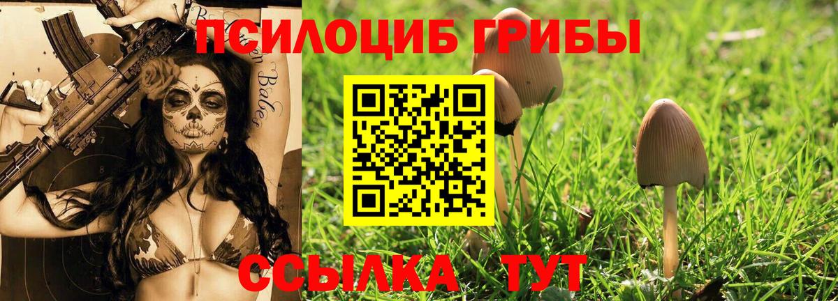 Богданович  Псилоцибиновые грибы GOLDEN TEACHER  Галлюциногенные грибы ЛСД  купить наркотик  Вход с VPN 