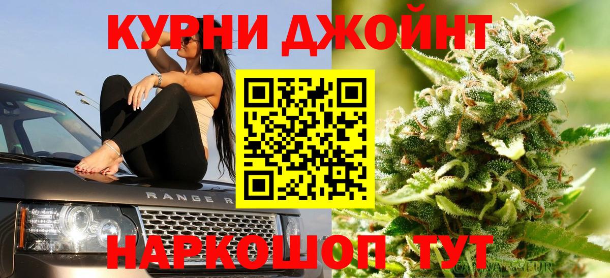 Шишки марихуана гибрид Богданович